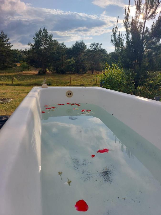 Dzik Holiday home Lupawsko